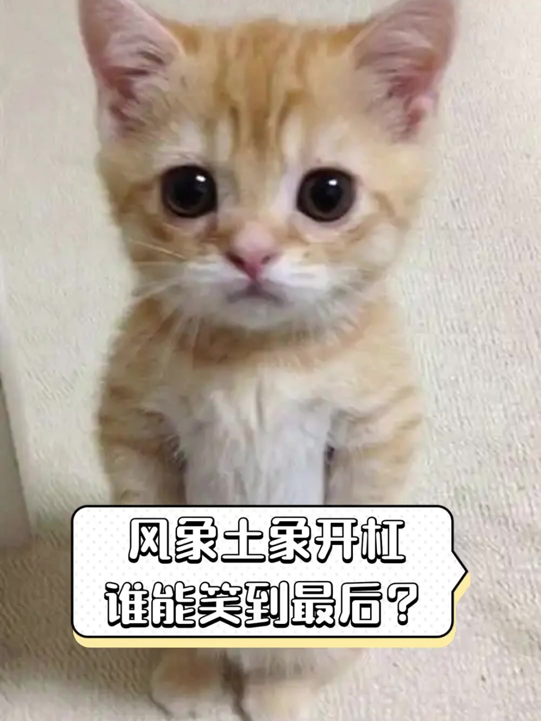 雷速官网-广州德比再掀波澜，谁能笑到最后？