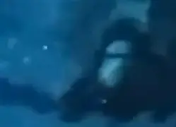 雷速直播-格拉纳达惊险逃脱夏日瓢虫困境