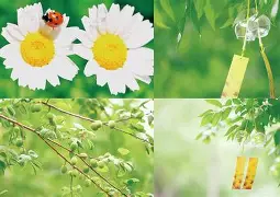 雷速直播-格拉纳达惊险逃脱夏日瓢虫困境